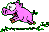 Schwein-Projekt