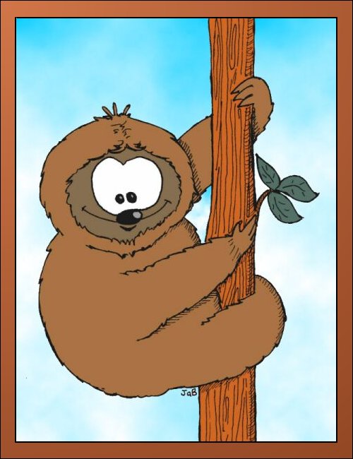 Kleines Faultier Beichti