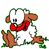 Schaf